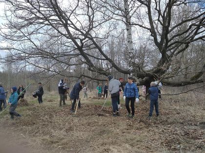 Коллектив школы облагораживает уникальную территорию, где дуб бережно обнимает берёзку